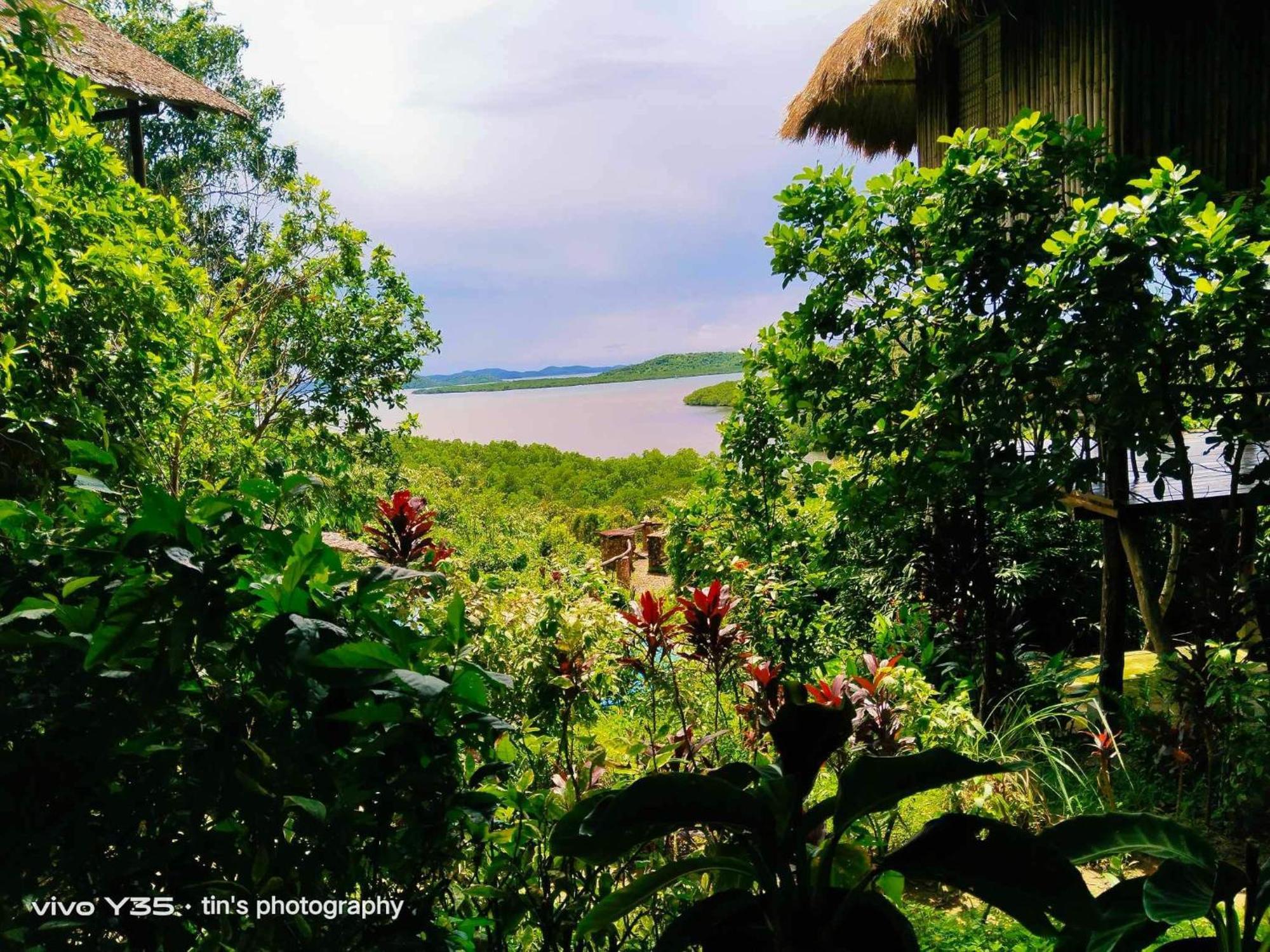 Sanctuaria Treehouses Busuanga Exterior foto